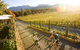 Mystic View Cottage Wandiligong - thumb 5
