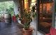 Mystic View Cottage Wandiligong - thumb 6