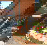 Aaron Inn Motel - Palm Beach Accommodation