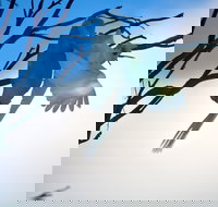 Tenterfield Cottage Holiday House - Palm Beach Accommodation