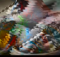 RORO Cafe on the Beach - Palm Beach Accommodation