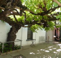 The Vine - Palm Beach Accommodation