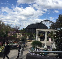 Cafe Harvest  BGC - Palm Beach Accommodation