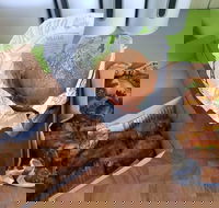 Hello Harry - Palm Beach Accommodation