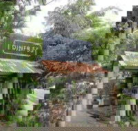 Diner 55 - Palm Beach Accommodation