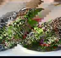 Santos Organics Mullumbimby - Palm Beach Accommodation