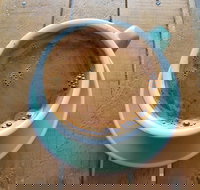 The Branches Coffee Roasters - Palm Beach Accommodation