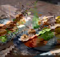 The Empire - Palm Beach Accommodation