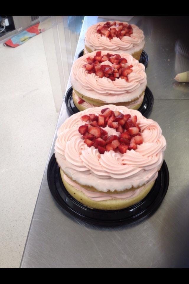 Palm Beach Accommodation