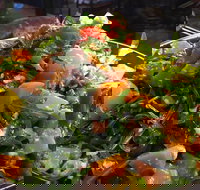 Talk to Me - Palm Beach Accommodation