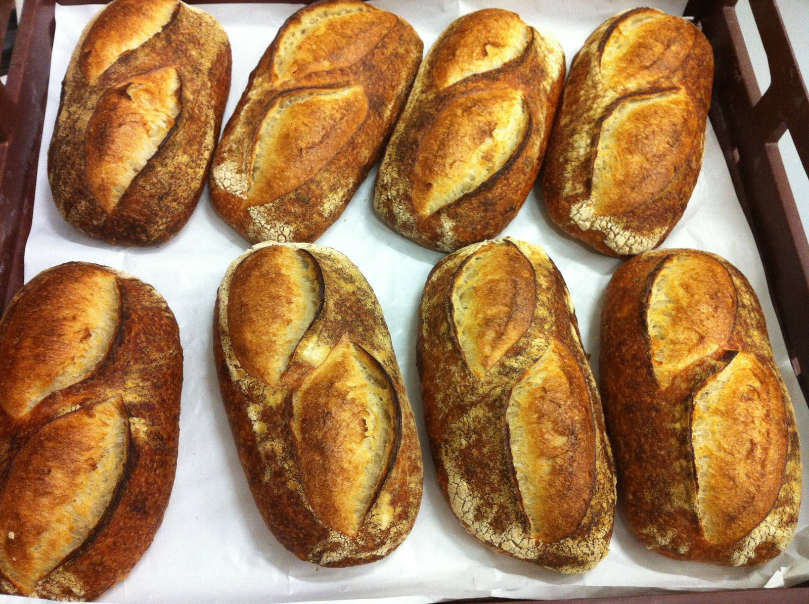 Toorak VIC Palm Beach Accommodation