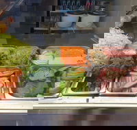 Xcel Roll - Coogee - Palm Beach Accommodation