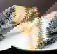 Imperial Kebabs - Palm Beach Accommodation