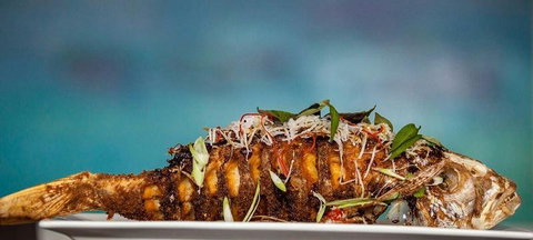 2 Fish Seafood Restaurant - Palm Beach Accommodation 0