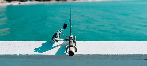 On The Inlet Seafood Restaurant - Palm Beach Accommodation 2