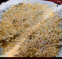 Man-O-Salwa - Clayton - Palm Beach Accommodation