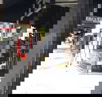 Purple Fig Bakery - Palm Beach Accommodation