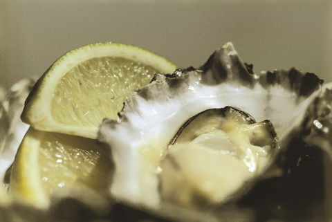 Pearly Oyster Bar And Farm - Palm Beach Accommodation 0