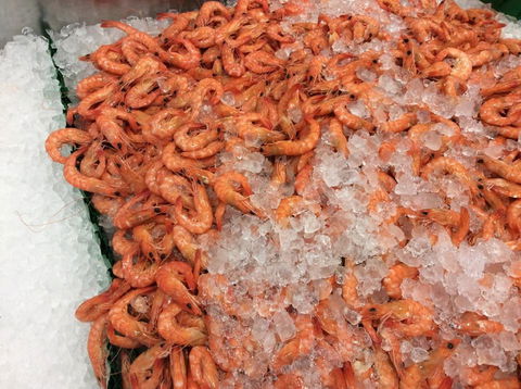 Pearly Oyster Bar And Farm - Palm Beach Accommodation 1