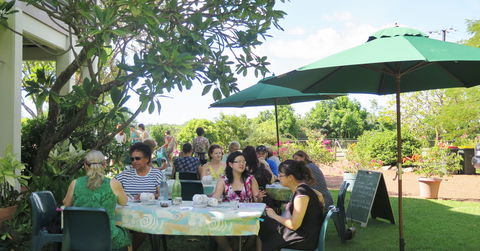Burnett House Afternoon Tea - Palm Beach Accommodation 0