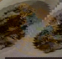 Malvern Hotel - Palm Beach Accommodation