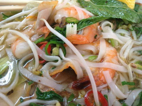 Vietnamese Hot Food - Palm Beach Accommodation 0