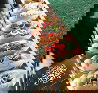 Balter Brewing Company - Palm Beach Accommodation