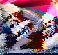 Donut King - Altona Meadows - Palm Beach Accommodation