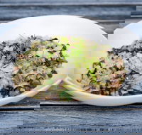 Coogee Diggers - Palm Beach Accommodation