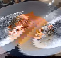 Jimmy Fox - Palm Beach Accommodation