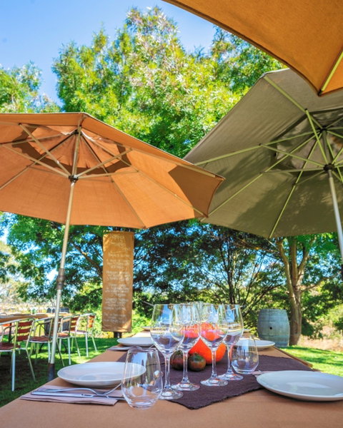 NGERINGA - Palm Beach Accommodation 0