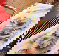 Sirocco Noosa - Palm Beach Accommodation