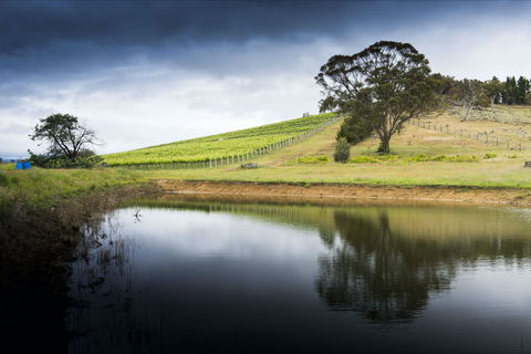 Mount Majura Vineyard - Palm Beach Accommodation 1