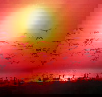 TINH and LAN Vietnamese Restaurant - Palm Beach Accommodation