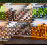 Melonhead - Palm Beach Accommodation