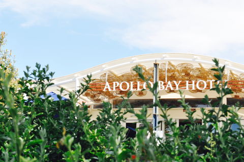 Apollo Bay Hotel - Palm Beach Accommodation 0