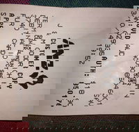 Bubba Pizza - Mount Barker - Palm Beach Accommodation