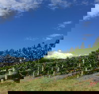 Freycinet Vineyard - Palm Beach Accommodation