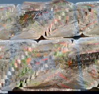 Red Fox Kafe - Palm Beach Accommodation