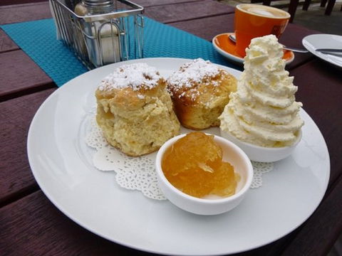 Mogo Pies - Palm Beach Accommodation 1