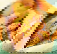 Mrs. Fields - Taylors Lakes - Palm Beach Accommodation