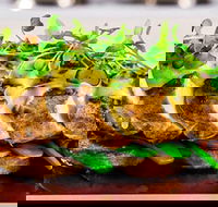 Allure On Currumbin - Palm Beach Accommodation