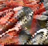 Mi Shells Seafood - Palm Beach Accommodation