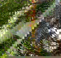 Velvet  Willow - Palm Beach Accommodation