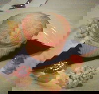 Spinnaker Bar  Restaurant - Palm Beach Accommodation