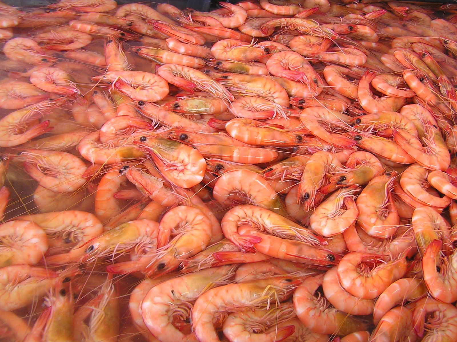 Bundaberg East QLD Palm Beach Accommodation