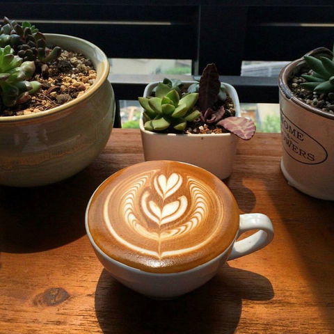 V Espresso - Palm Beach Accommodation 0
