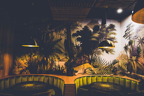 Kokomo's - Palm Beach Accommodation 1