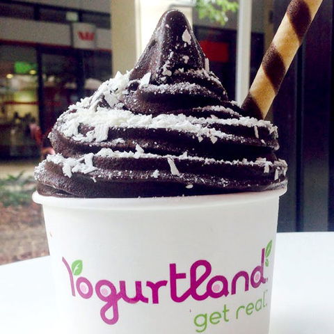 Yogurtland - Prairiewood - Palm Beach Accommodation 0