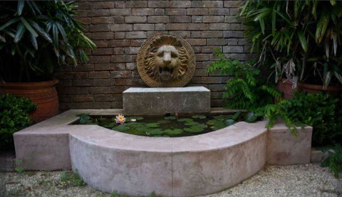 Vietnamese Saigon Star - Palm Beach Accommodation 3